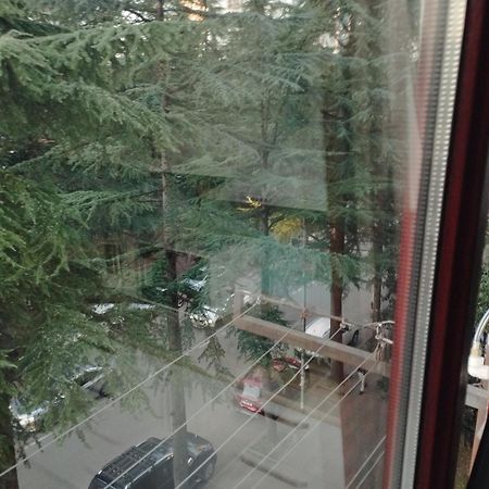 Apartment Ge Zvezda Batumi Exterior foto